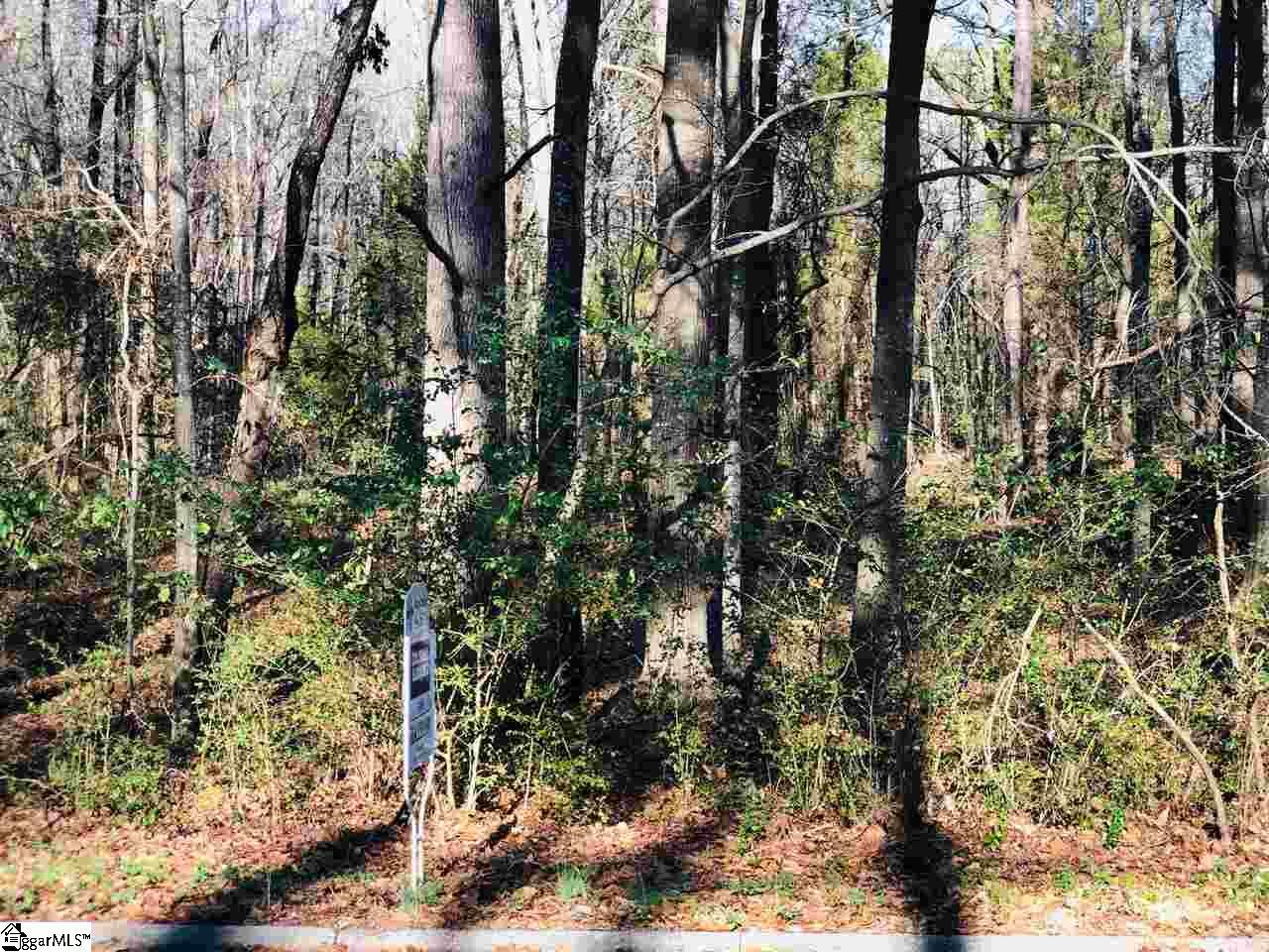 Property Photo: 124 Greybridge Road SC 29669