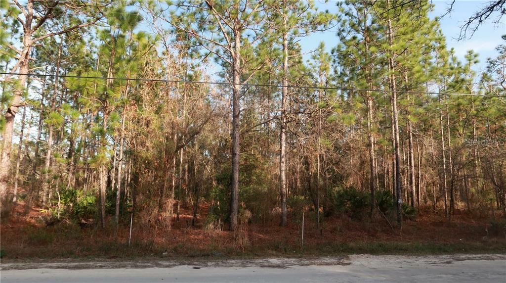 Property Photo:  15130 Fleetwood Road  FL 34614 