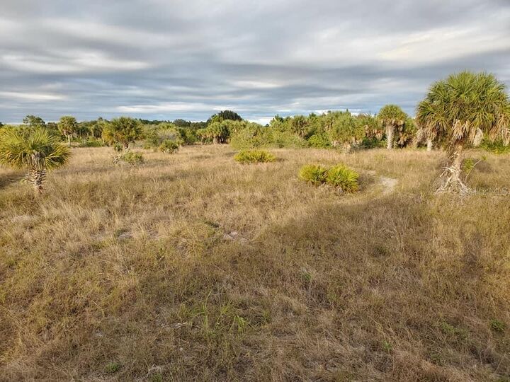 Property Photo:  13224 Eureka Circle  FL 33981 
