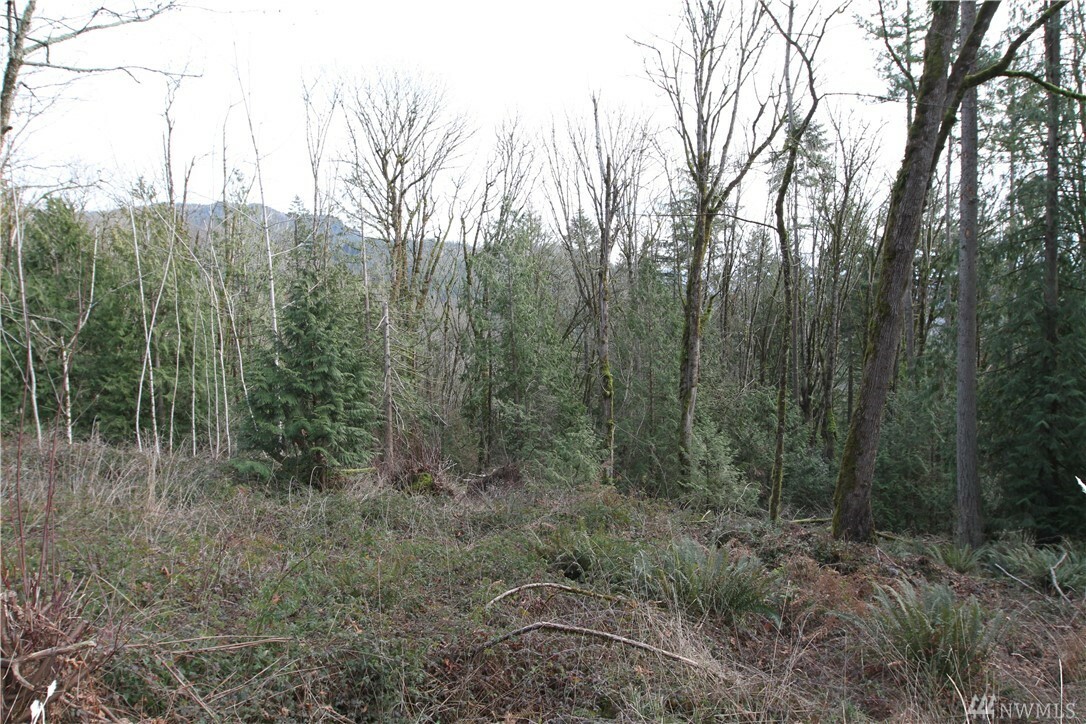 Property Photo:  0 181st Ave SE  WA 98027 