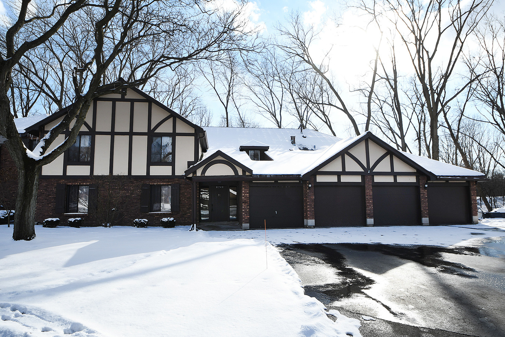 Property Photo: 8245 Willow Drive 43C IL 60465