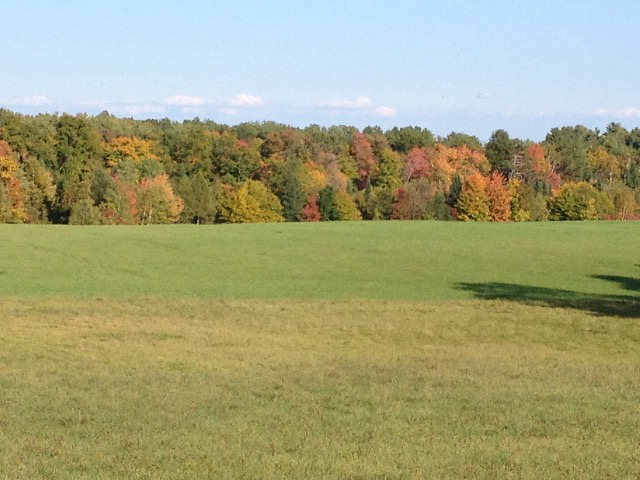 Property Photo: 0 Route 374 NY 12918