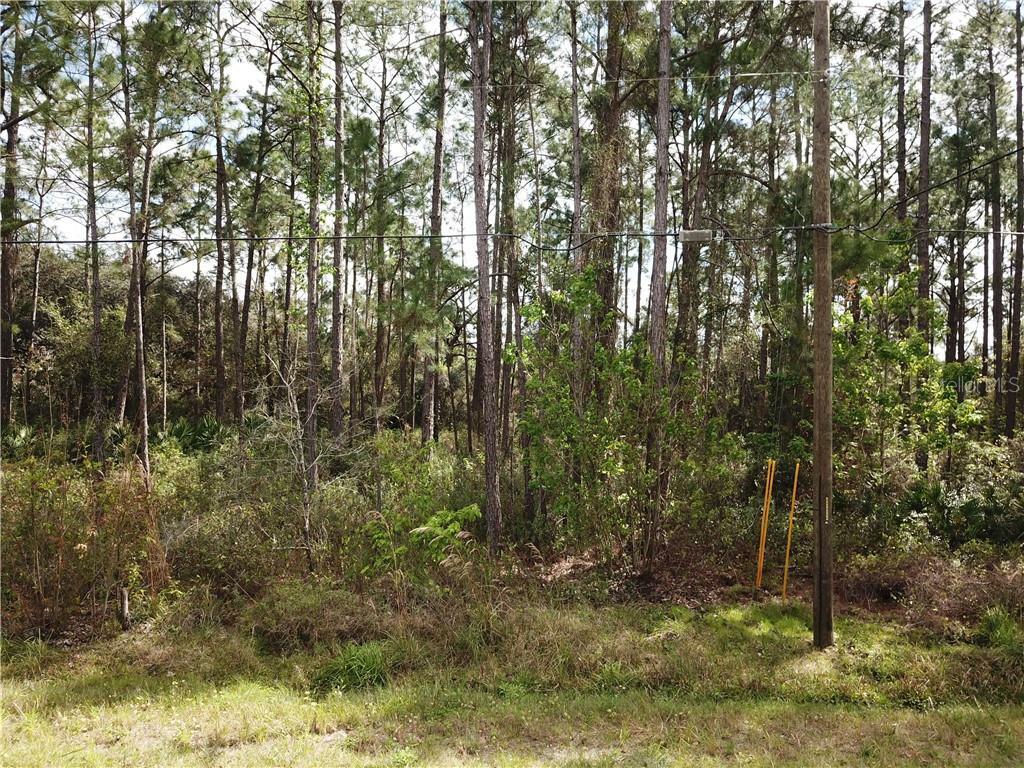 Property Photo:  270 Arapaho Trail  FL 34747 