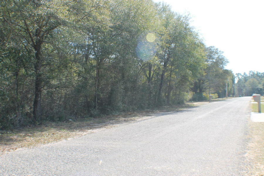 Property Photo:  0.97 Ac Audrey Drive  FL 32539 