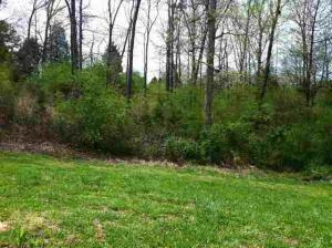 Lot 30 County Road 7030  Athens TN 37303 photo