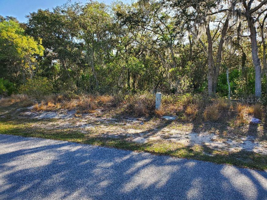 Property Photo:  422 Ohio Lane  FL 34759 