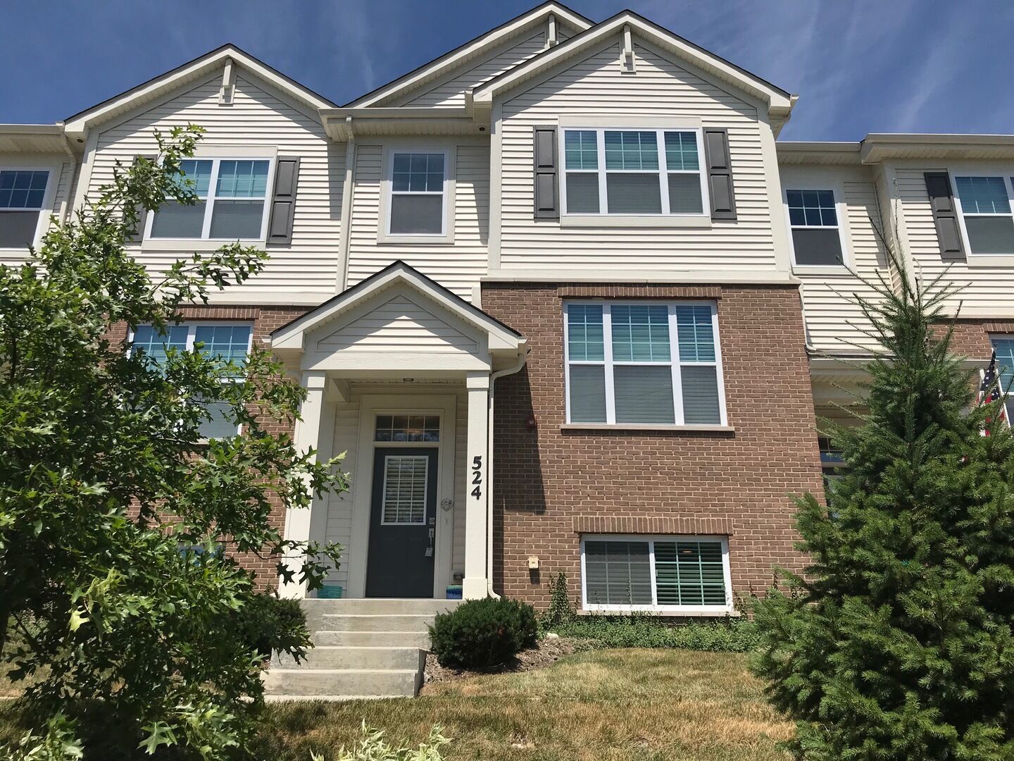 Property Photo: 524 Lexington Lane IL 60008