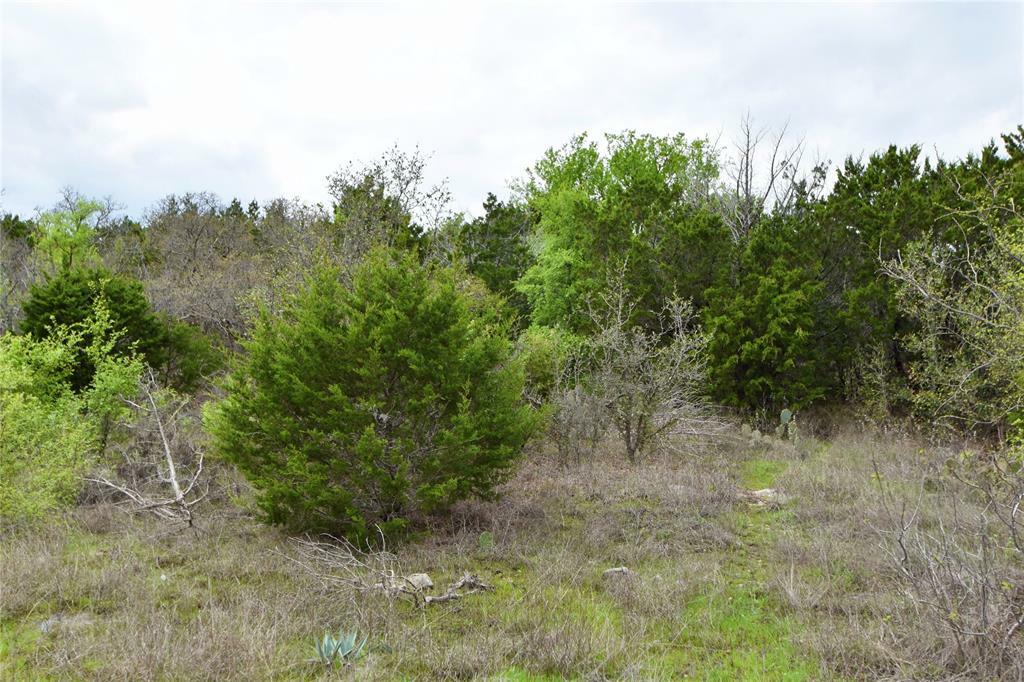 Property Photo:  Tbd2 Majestic Shores  TX 76433 