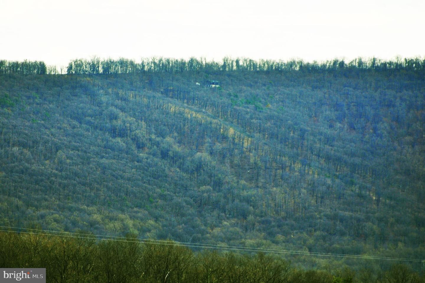 Property Photo: L-92 Bobcat Trail VA 22602