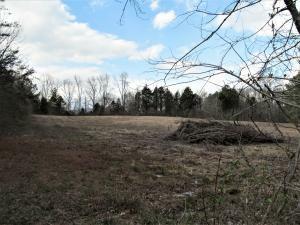 Property Photo:  Poplar Creek Rd  TN 37840 