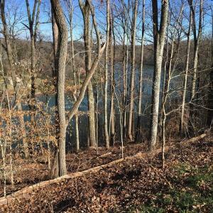 Property Photo:  Lot 5 Sheerwater Road  TN 37763 