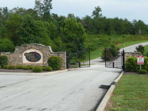 Property Photo:  228 Serenity Drive, Lot #52  TN 37748 