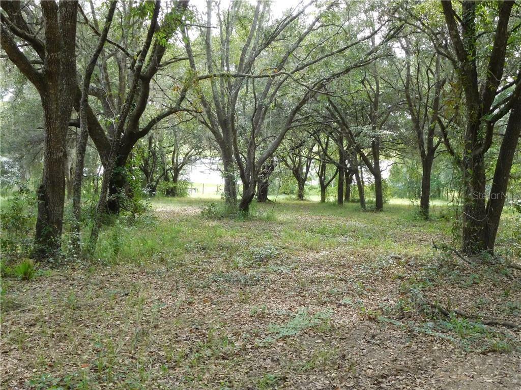 Property Photo:  N Em En El Grove Road  FL 34788 