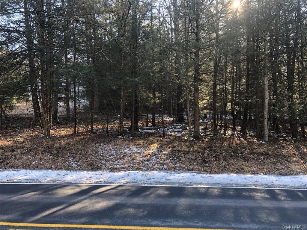 Highland Lake Road  Highland Lake NY 12743 photo