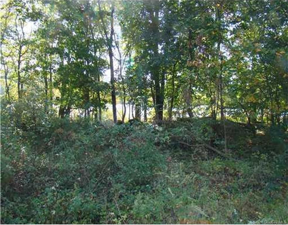 Property Photo:  Old Dutch Hollow Road  NY 10925 