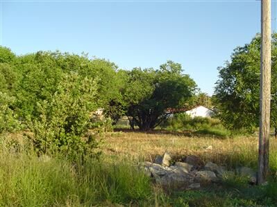 Property Photo:  2103 Marin Street  CA 94590 