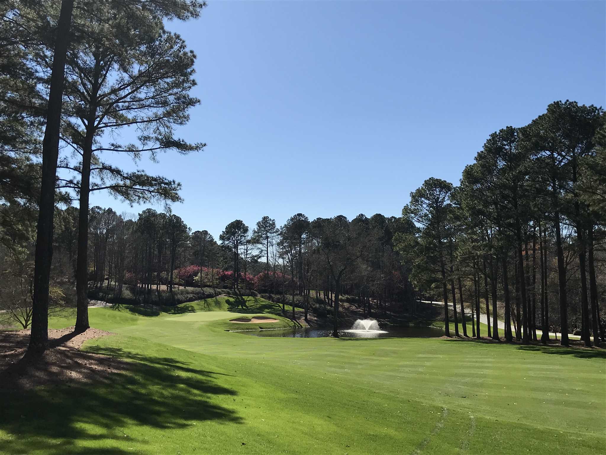 Property Photo: 132 Highgate Drive GA 31024