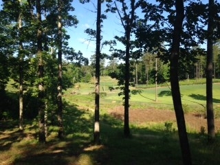 Property Photo: 1220 Rose Creek GA 30642