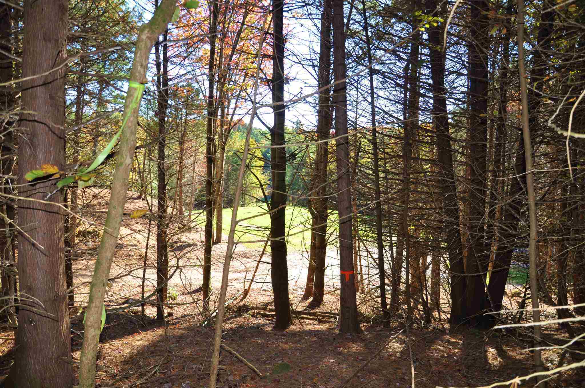 Property Photo:  Lot 5 Finney Ridge Pond Rd  VT 05482 