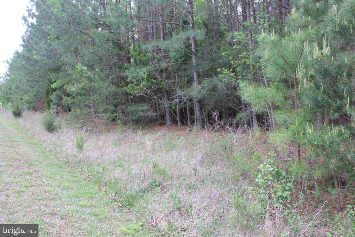 Property Photo:  19495 S Greens Rest Drive  MD 20634 