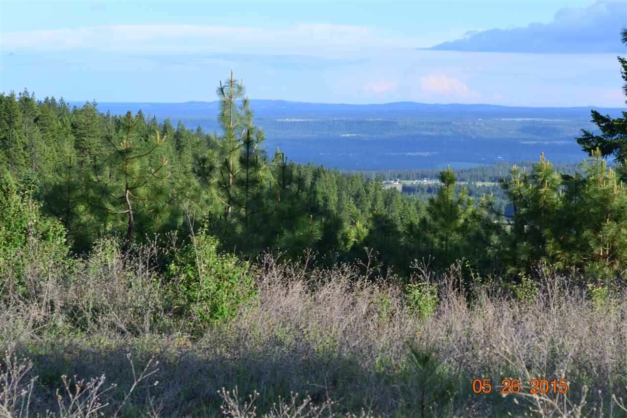 Property Photo: Xx Blueridge Way Lot #38 WA 99006