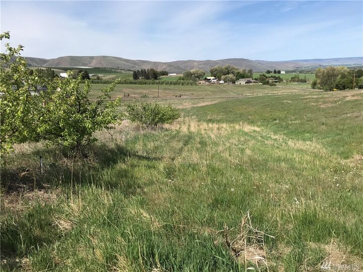 Property Photo:  220 Perry Rd  WA 98926 