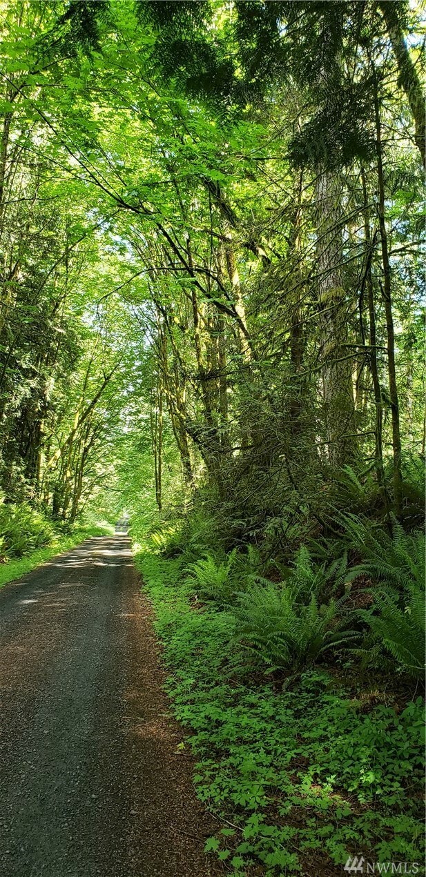 Property Photo:  8220 SE Lynch Rd  WA 98584 