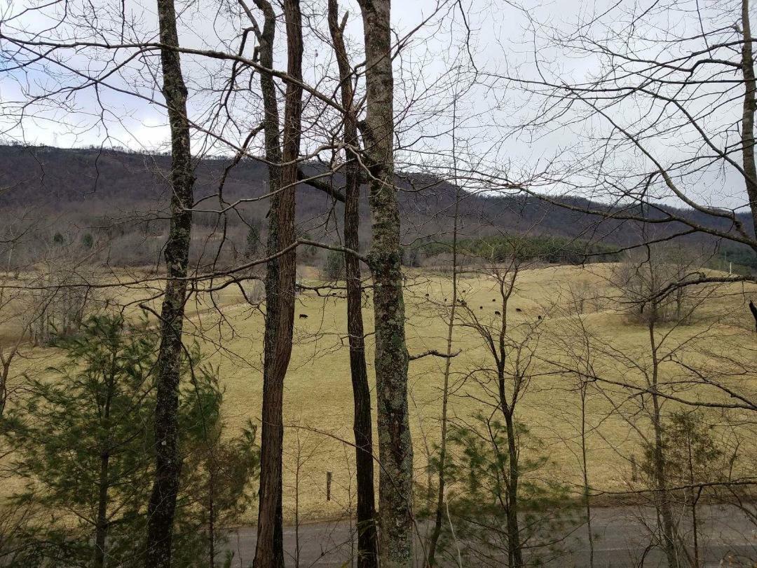 Property Photo:  0 Clover Hollow Rd  VA 24128 