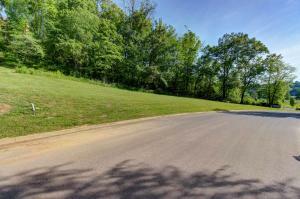 Property Photo:  Lot 194R Wilderness Path Way  TN 37876 