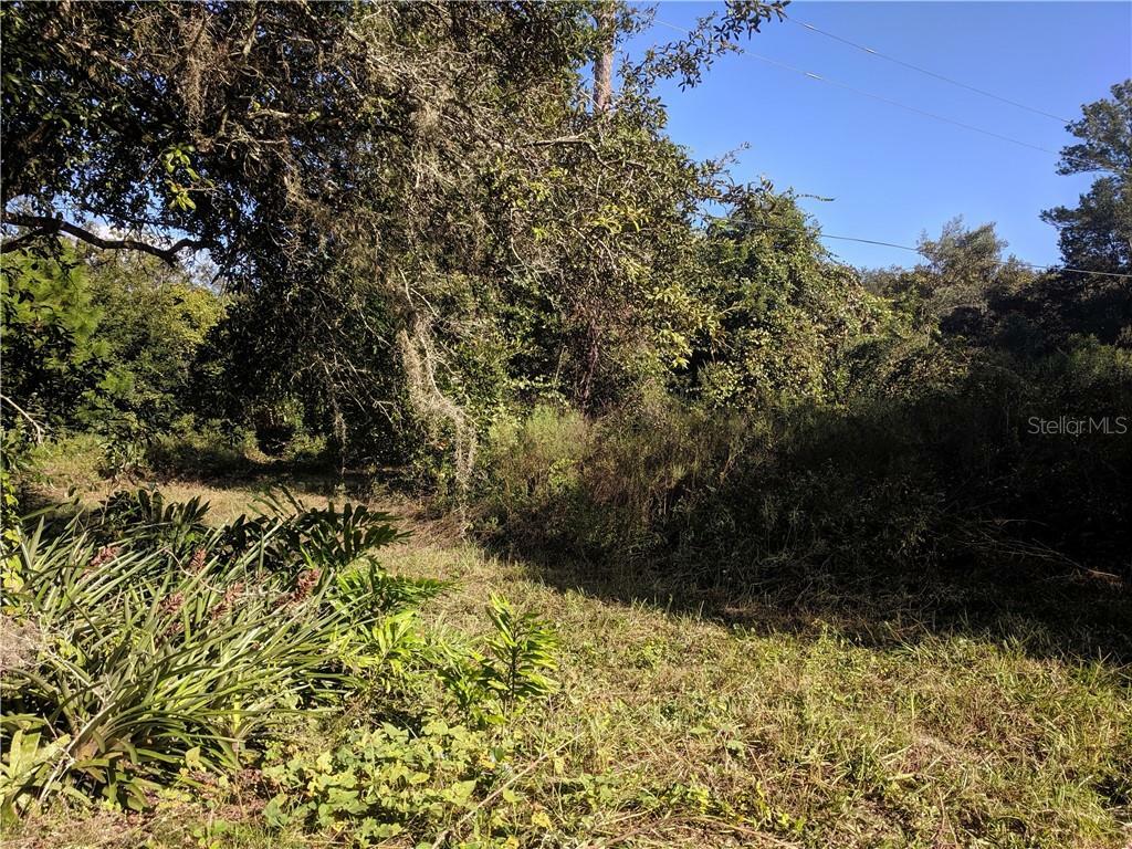 Property Photo: Dee Street FL 32736
