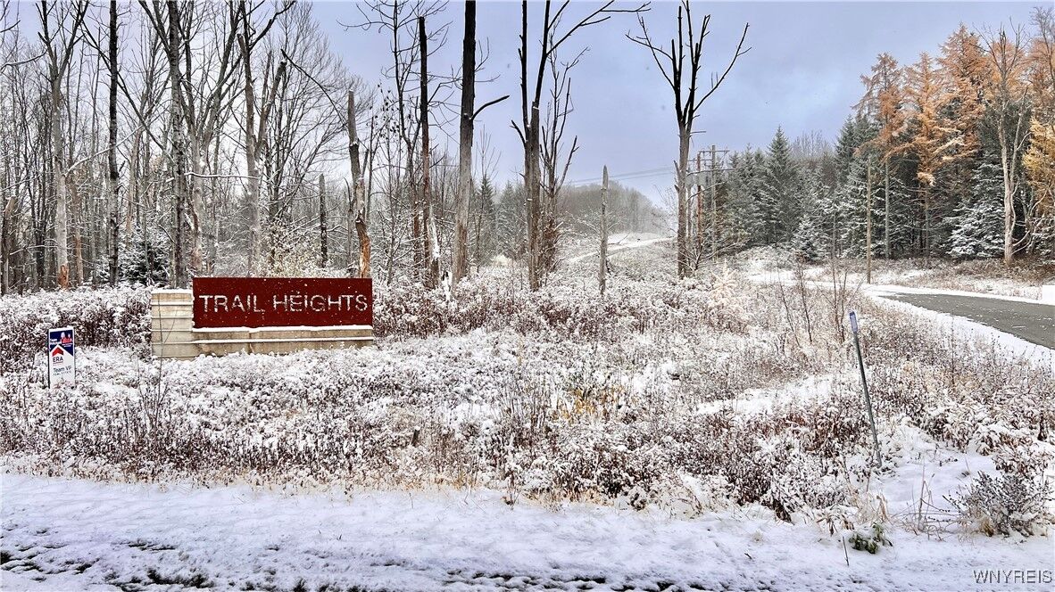 Property Photo: 1 Trail Heights NY 14731