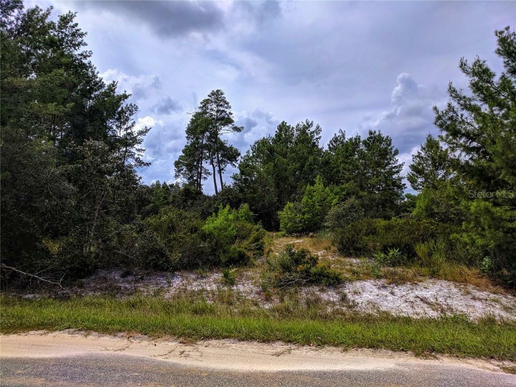 Property Photo: Pine Street FL 32767