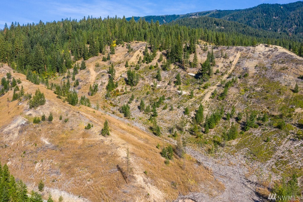 Property Photo:  0 Dry Creek Rd Lot 7  WA 98826 