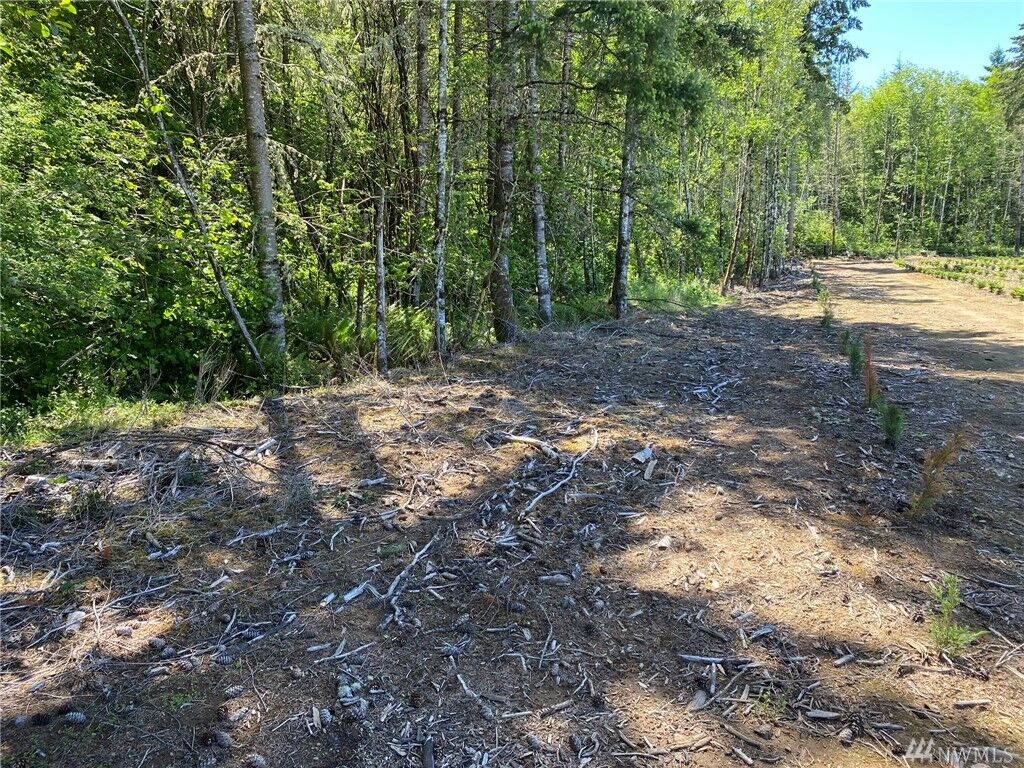 Property Photo:  0 Texas Lane  WA 98596 