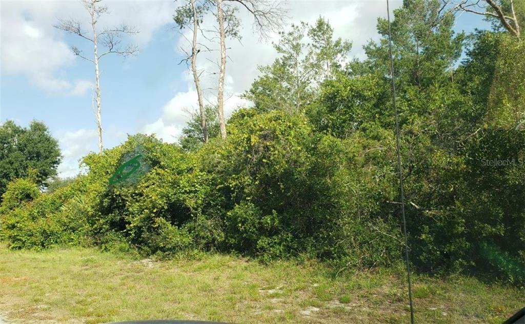 Property Photo:  3172 Riverhead Drive  FL 32738 