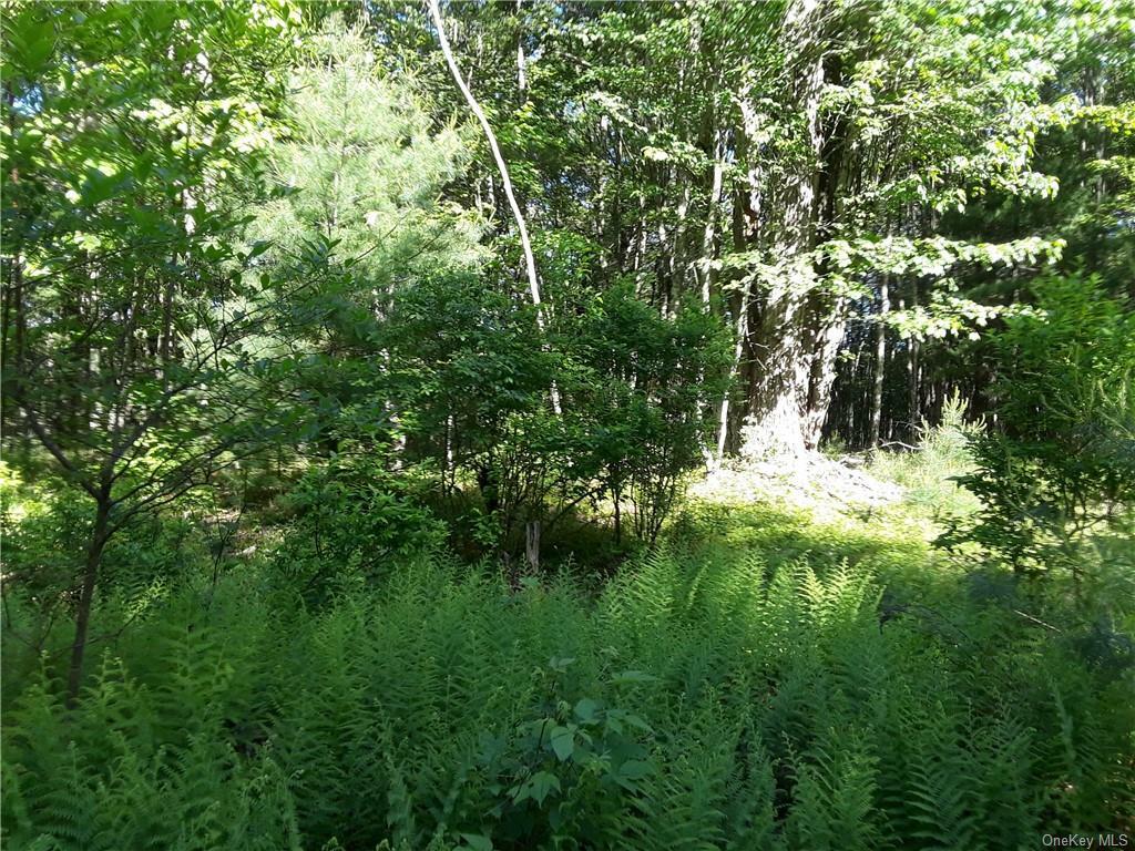 Property Photo:  Nature Lake Road  NY 12754 