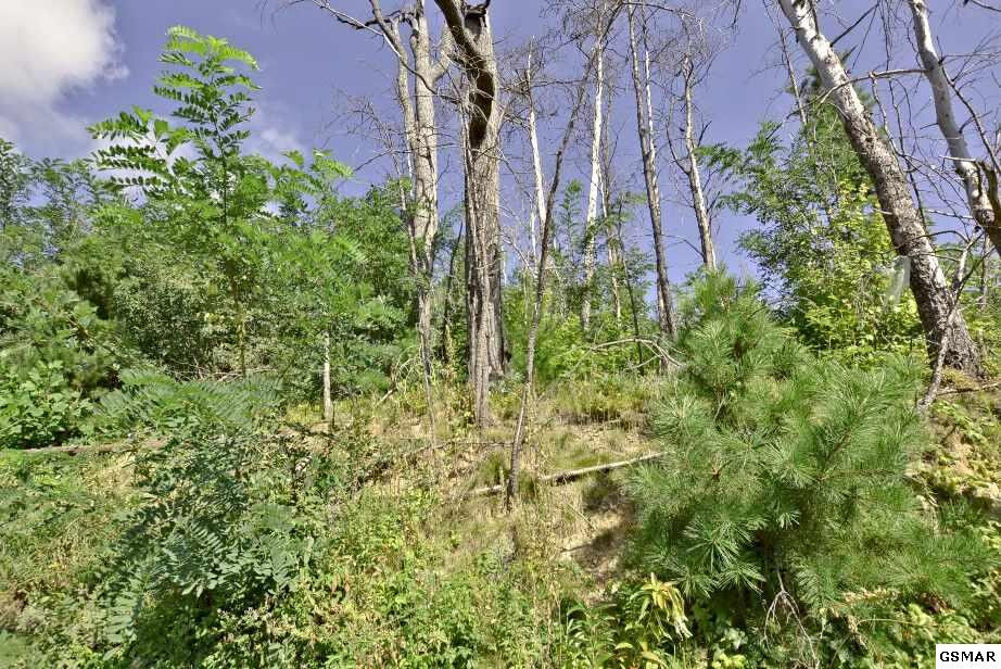 Property Photo:  Lot 599 E End Court  TN 37738 