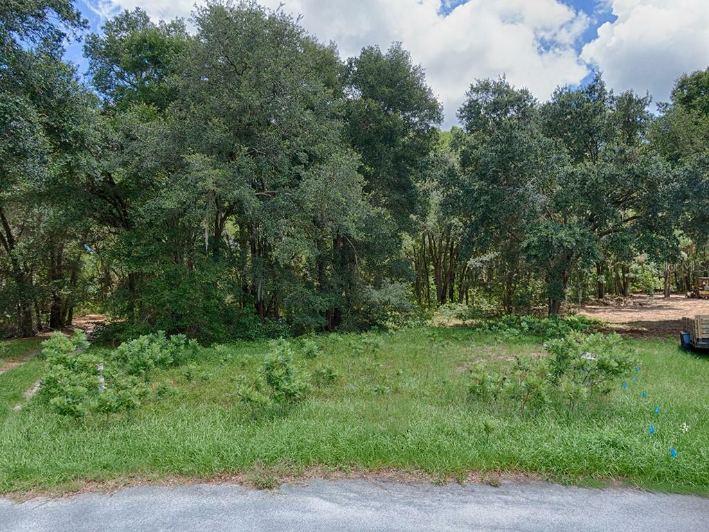 Property Photo:  1301 Otters View Court  FL 34731 