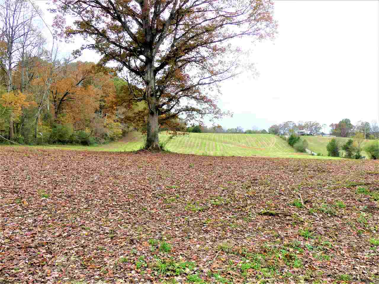Property Photo: 00 County Road 725 TN 37370