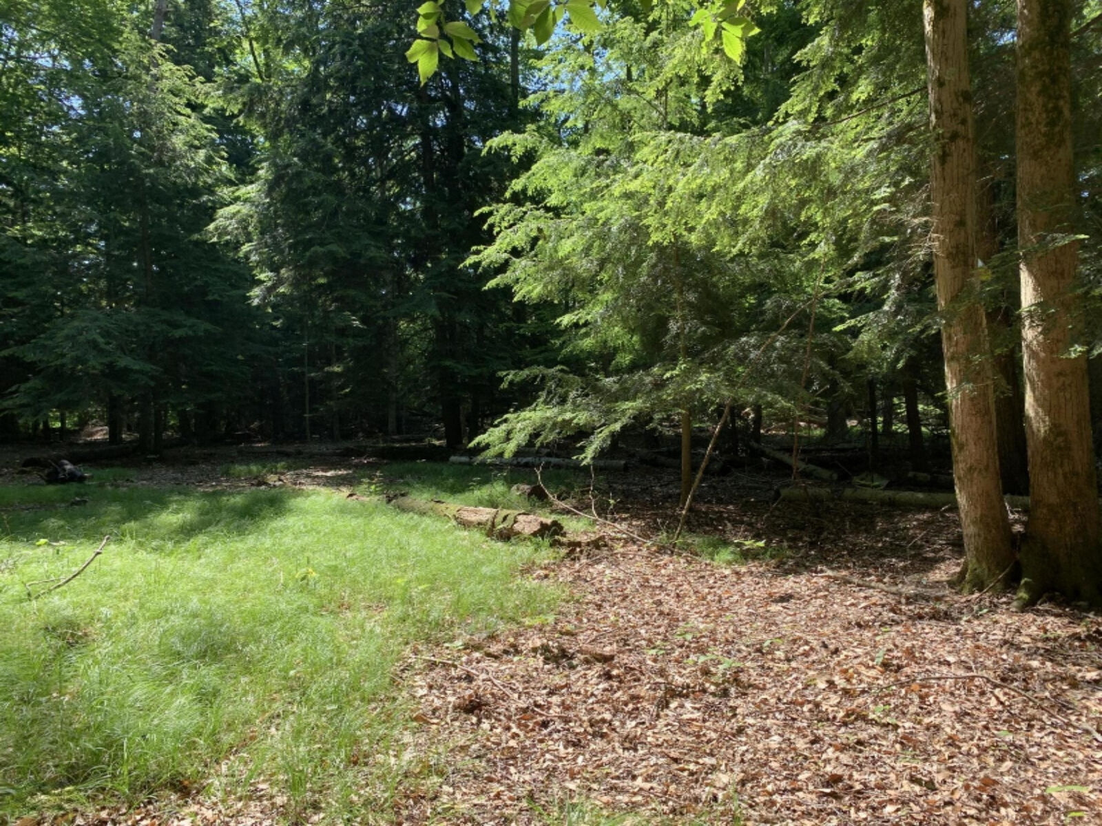 Property Photo:  W Stony Lake Road  MI 49446 