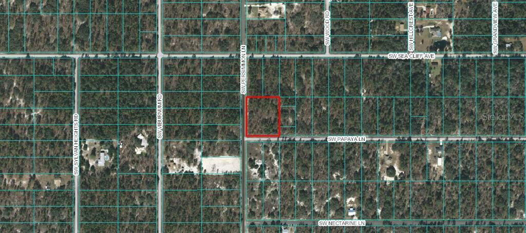 Property Photo:  Lots 25 &Amp 26 SW Papaya Lane  FL 34431 