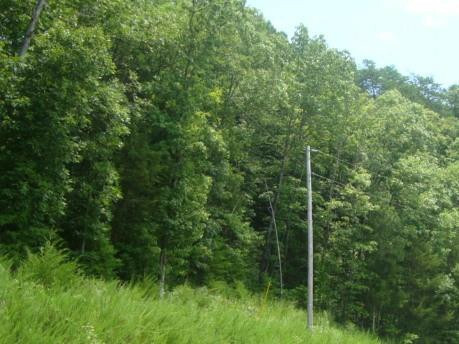 Lot 28 Chestuee Road  Benton TN 37307 photo