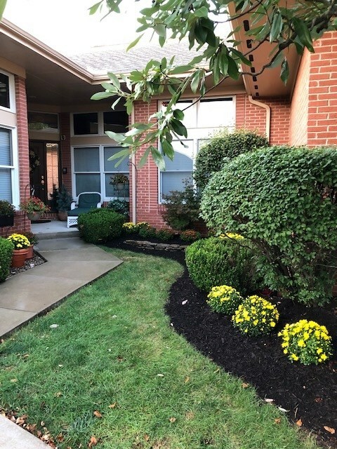 Property Photo: 1039 Cityview Drive KY 41017