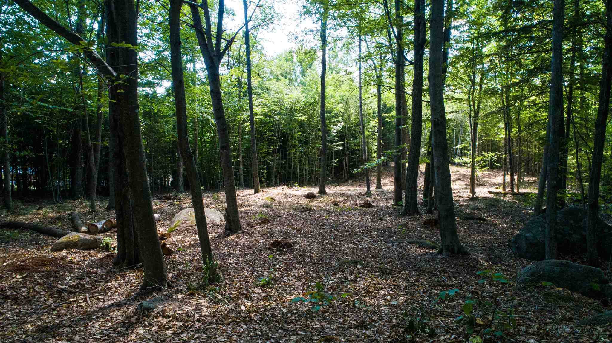 Property Photo:  157 Banjo Drive 1  NH 03223 