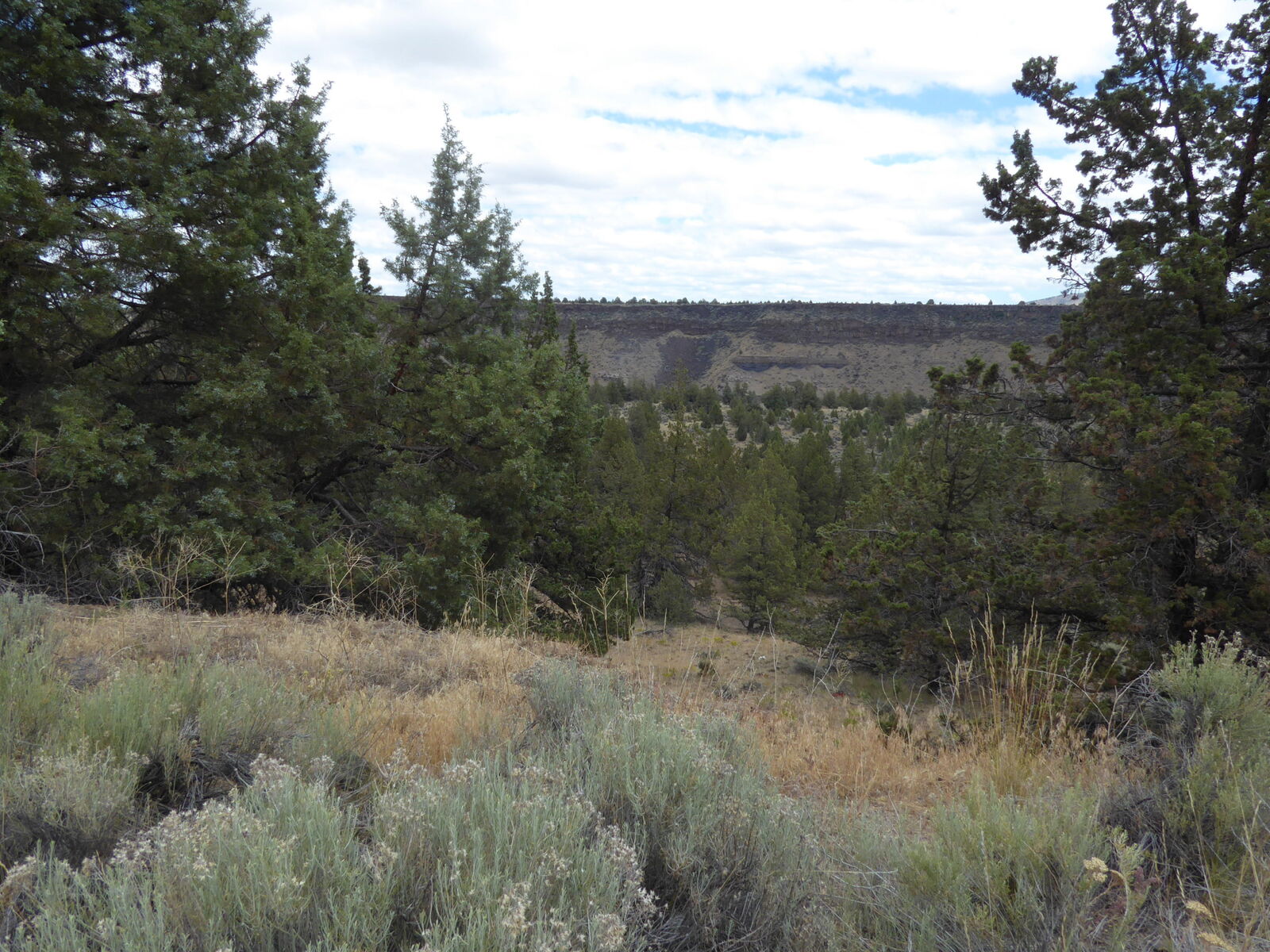 Property Photo: 8224 SW Jordan Road OR 97734