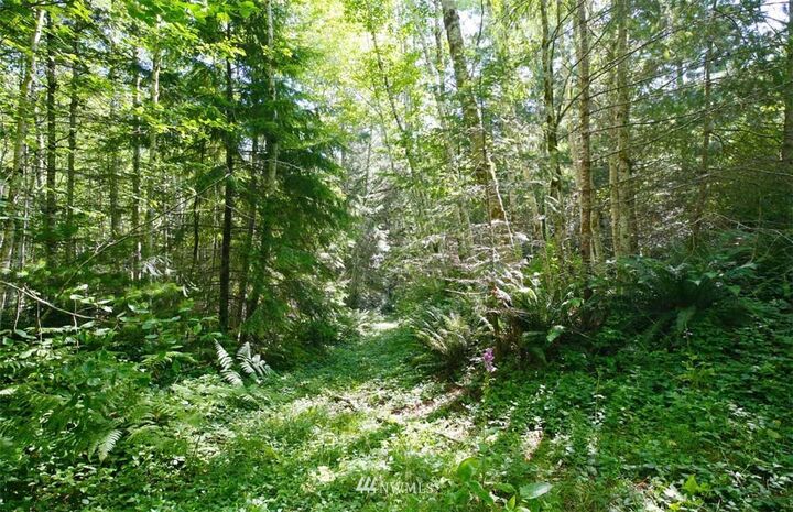 0 Xxx NW Stavis Bay Road  Seabeck WA 98380 photo