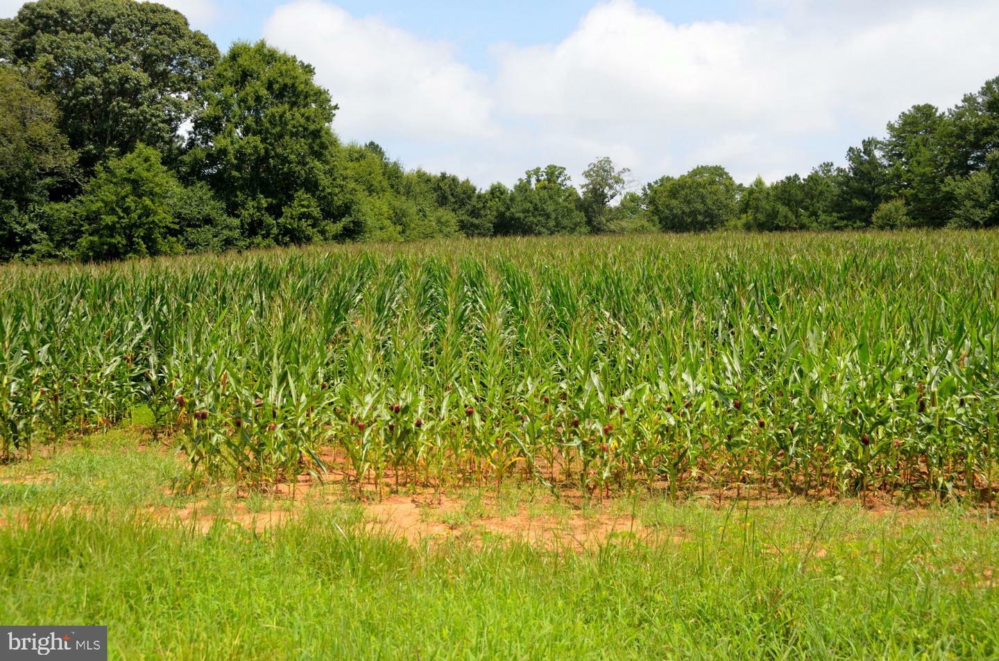 Property Photo: 28 N Locust Point Road PA 17050