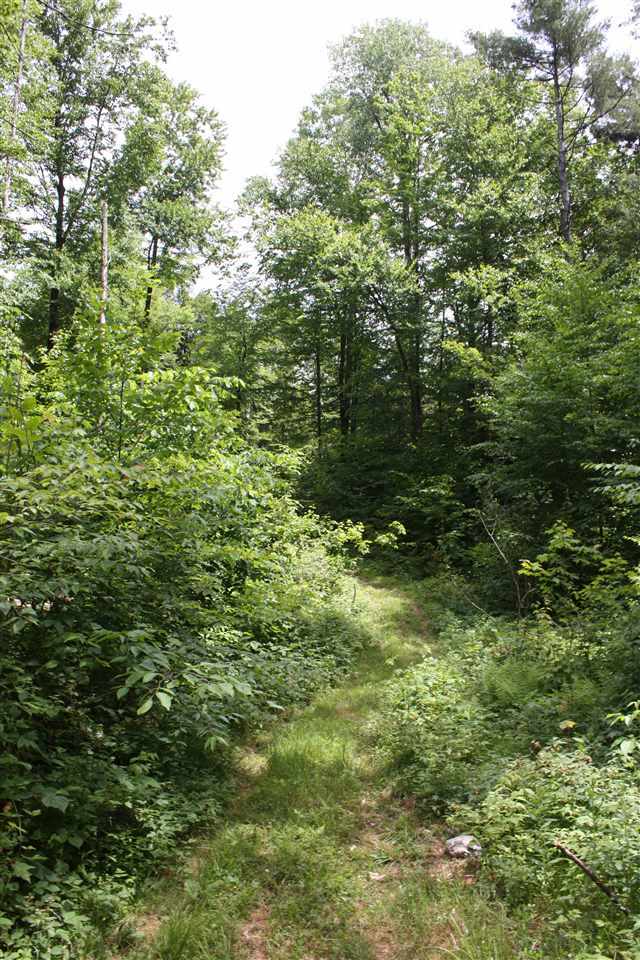 Property Photo: Tbd O'Connor Drive Lot #4 VT 05443