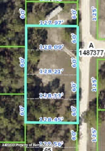 Property Photo:  00 Orlando Avenue  FL 34604 