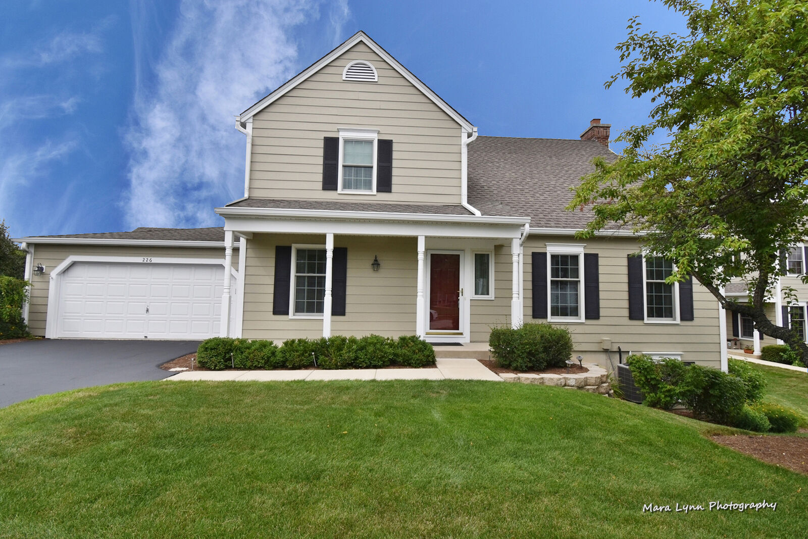 Property Photo:  226 Sedgewick Court  IL 60174 